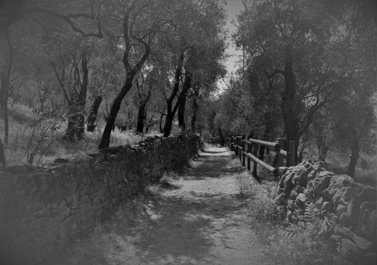 ברנצונה סול גארדה Villa Torre - Atmosfera Romantica מראה חיצוני תמונה